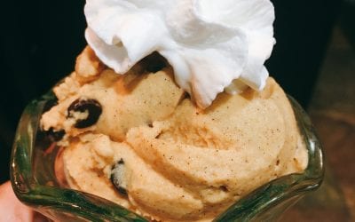 Pumpkin Chip Ice Cream (THM S)