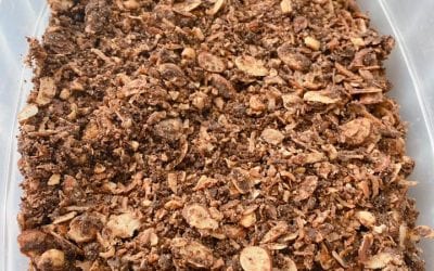 Easy Chocolate Granola (THM S, Keto, Low Carb)