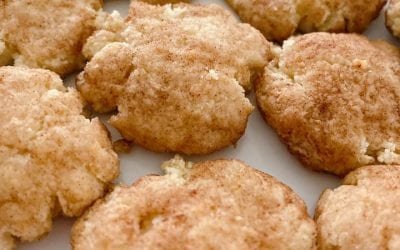 Snickerdoodles aka “Snicks” (THM S, low carb, keto)