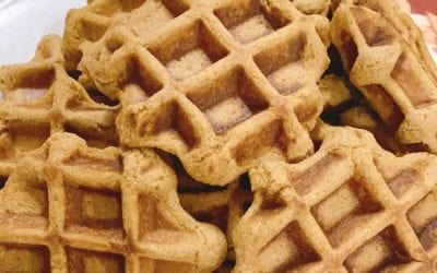 Pumpkin Waffles (THM E or S)